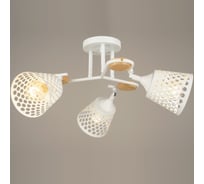 Потолочная люстра ВИНКРУС WT, E27x3x60W N4218/3
