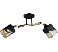 Потолочная люстра ВИНКРУС BK-WOOD E27x2x60W N4868/2