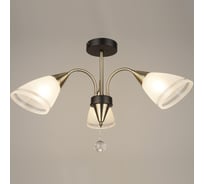 Потолочная люстра ВИНКРУС AB-BK, E27x3x60W N4211/3