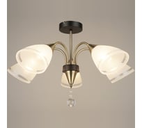 Потолочная люстра ВИНКРУС AB-BK, E27x5x60W N4211/5