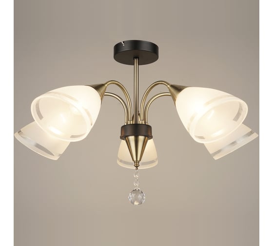 Потолочная люстра ВИНКРУС AB-BK, E27x5x60W N4211/5 1