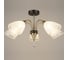 Потолочная люстра ВИНКРУС AB-BK, E27x5x60W N4211/5 1