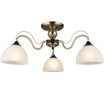 Потолочная люстра ВИНКРУС AB-BK, E27x3x60W WX023-3