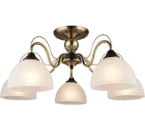 Потолочная люстра ВИНКРУС AB-BK, E27x5x60W WX023-5