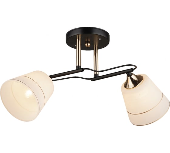 Потолочная люстра ВИНКРУС BK-FGD, E27x2x60W WX022-2 1