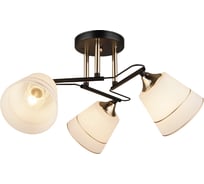 Потолочная люстра ВИНКРУС BK-FGD, E27x3x60W WX022-3