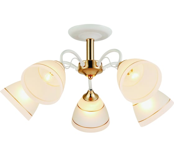 Потолочная люстра ВИНКРУС WH-FG, E27x5x60W WX033-5 1