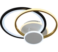 Светодиодная потолочная люстра ВИНКРУС WT-BK-FGD, LEDx60W YH469/120W