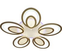 Светодиодная потолочная люстра ВИНКРУС WT-FG, LEDx73W VH0056/5