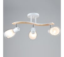 Потолочный светильник ВИНКРУС WT-WOOD, E27x3x60W N5108/3