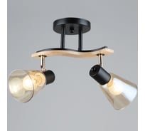 Потолочный светильник ВИНКРУС BK-WOOD, E27x2x60W N5109/2