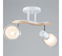 Потолочный светильник ВИНКРУС WT-WOOD, E27x2x60W N5108/2