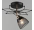 Потолочный светильник ВИНКРУС BK-FGD, E27x1x60W N5002/1 1