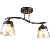 Потолочная люстра ВИНКРУС BK-FGD, E27x2x60W N3772/2