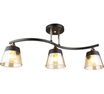 Потолочная люстра ВИНКРУС BK-FGD, E27x3x60W N3772/3