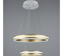 Светодиодная потолочная люстра ВИНКРУС WT-COOPER, LEDx98W YH556/2