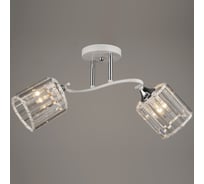 Потолочная люстра ВИНКРУС WT-CH, E27x2x60W N3851/2