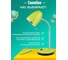 Настольный светильник Camelion KD-308 C16 зелёный 230V 40W E27 11479 8