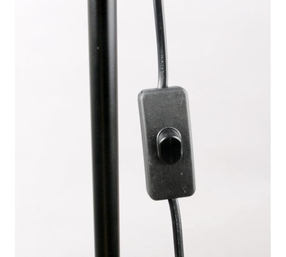 Напольный светильник-торшер Camelion KD-332 C02 черный 230V 40W E27 12794