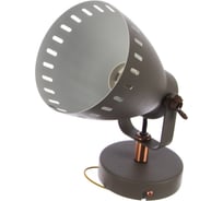 Настенный светильник Camelion WML-428-1 С08 серый, New York, 1хE27, 40Вт, 230В, металл 13058