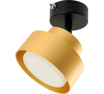 Настенный светильник FERON hl3670 aura 12w, 230v, gx53, золото, 48414