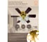 Люстра вентилятор DREAMFAN fast satin brass 76 54075DFN 2