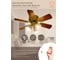 Люстра вентилятор DREAMFAN fast satin brass 76 54075DFN 3