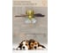 Люстра вентилятор DREAMFAN fast satin brass 76 54075DFN 7