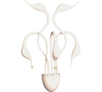 Бра Lumina Deco magica LDW 6028-5 WT