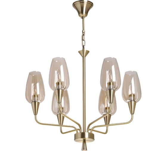 Люстра MW LIGHT Элла 6x40w e14 220 v 483015606 1