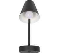 Настенный светильник LOFT IT Shelf 10216/1W Black