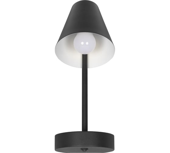 Настенный светильник LOFT IT Shelf 10216/1W Black