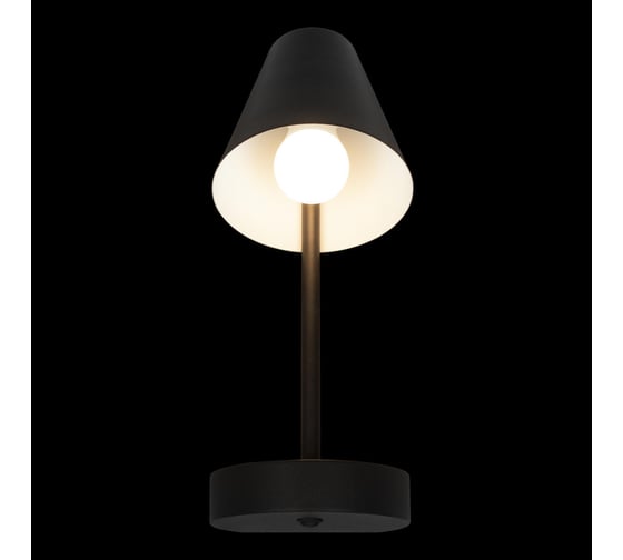 Настенный светильник LOFT IT Shelf 10216/1W Black