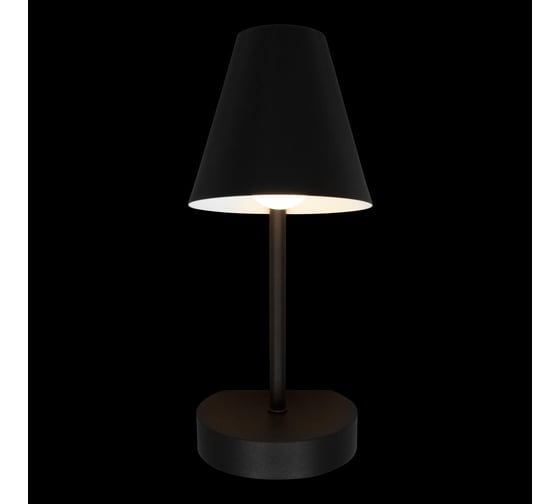 Настенный светильник LOFT IT Shelf 10216/1W Black