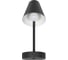 Настенный светильник LOFT IT Shelf 10216/1W Black 1