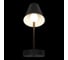 Настенный светильник LOFT IT Shelf 10216/1W Black 2