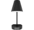 Настенный светильник LOFT IT Shelf 10216/1W Black 3