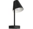 Настенный светильник LOFT IT Shelf 10216/1W Black 5