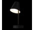 Настенный светильник LOFT IT Shelf 10216/1W Black 6