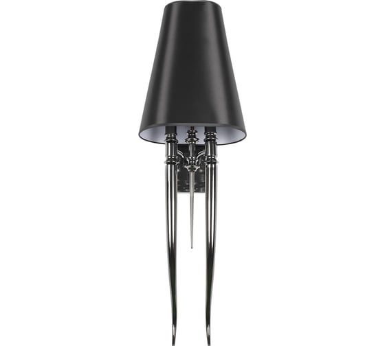 Настенный светильник LOFT IT Brunilde 10207W/L Black