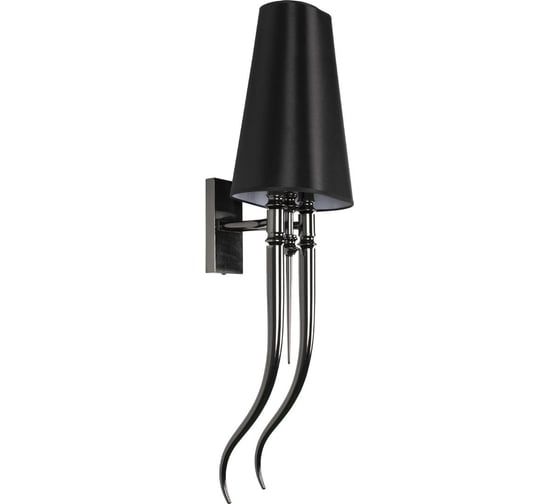 Настенный светильник LOFT IT Brunilde 10207W/L Black