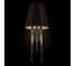 Настенный светильник LOFT IT Brunilde 10207W/M Black 2