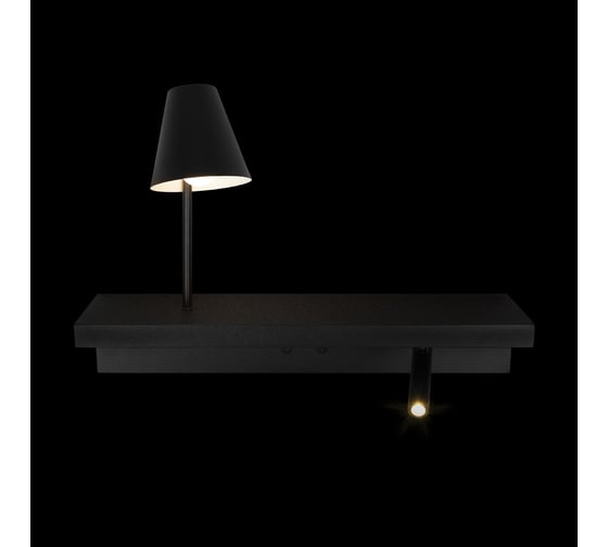 Настенный светильник LOFT IT Shelf 10216/2W Black