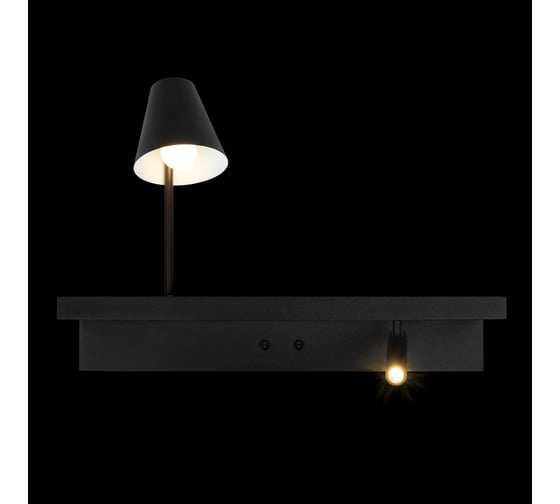 Настенный светильник LOFT IT Shelf 10216/2W Black