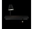Настенный светильник LOFT IT Shelf 10216/2W Black 2