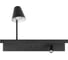 Настенный светильник LOFT IT Shelf 10216/2W Black 3