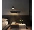 Настенный светильник LOFT IT Shelf 10216/2W Black 9
