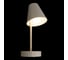 Настенный светильник LOFT IT Shelf 10216/1W White 4