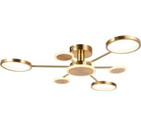 Потолочная светодиодная люстра Aployt didian APL.015.07.33