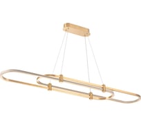 Подвесной светодиодный светильник Stilfort Tooring 4006/05/02PL